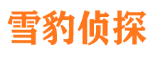 祁东市侦探公司